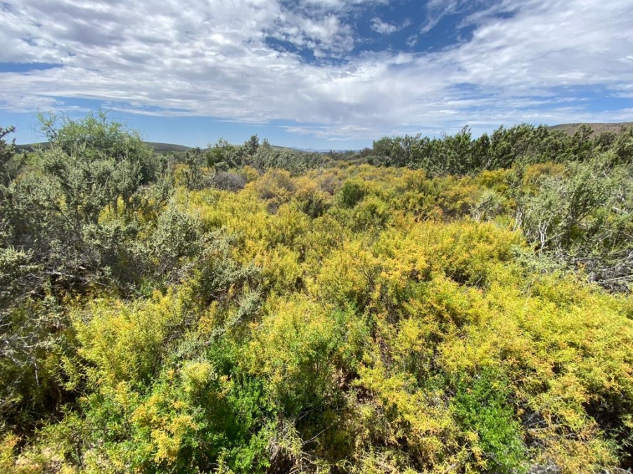 0 Bedroom Property for Sale in Touws River Rural Western Cape